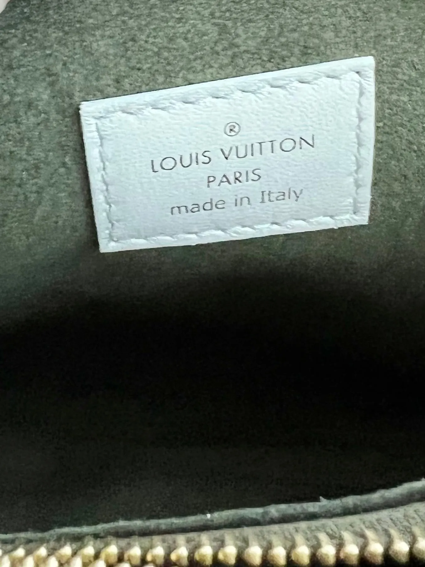 Louis Vuitton Coussin Bag