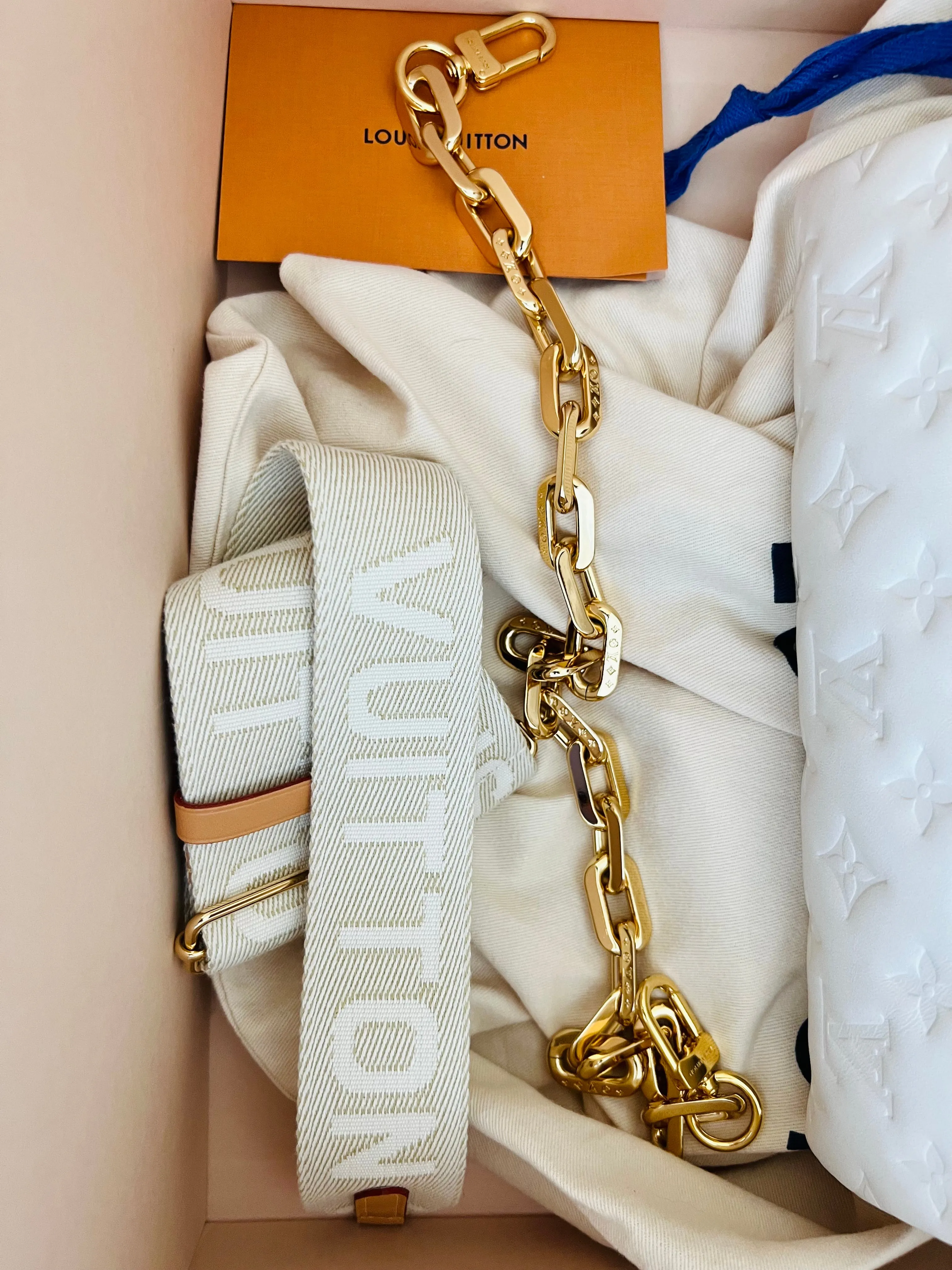 Louis Vuitton Coussin Bag